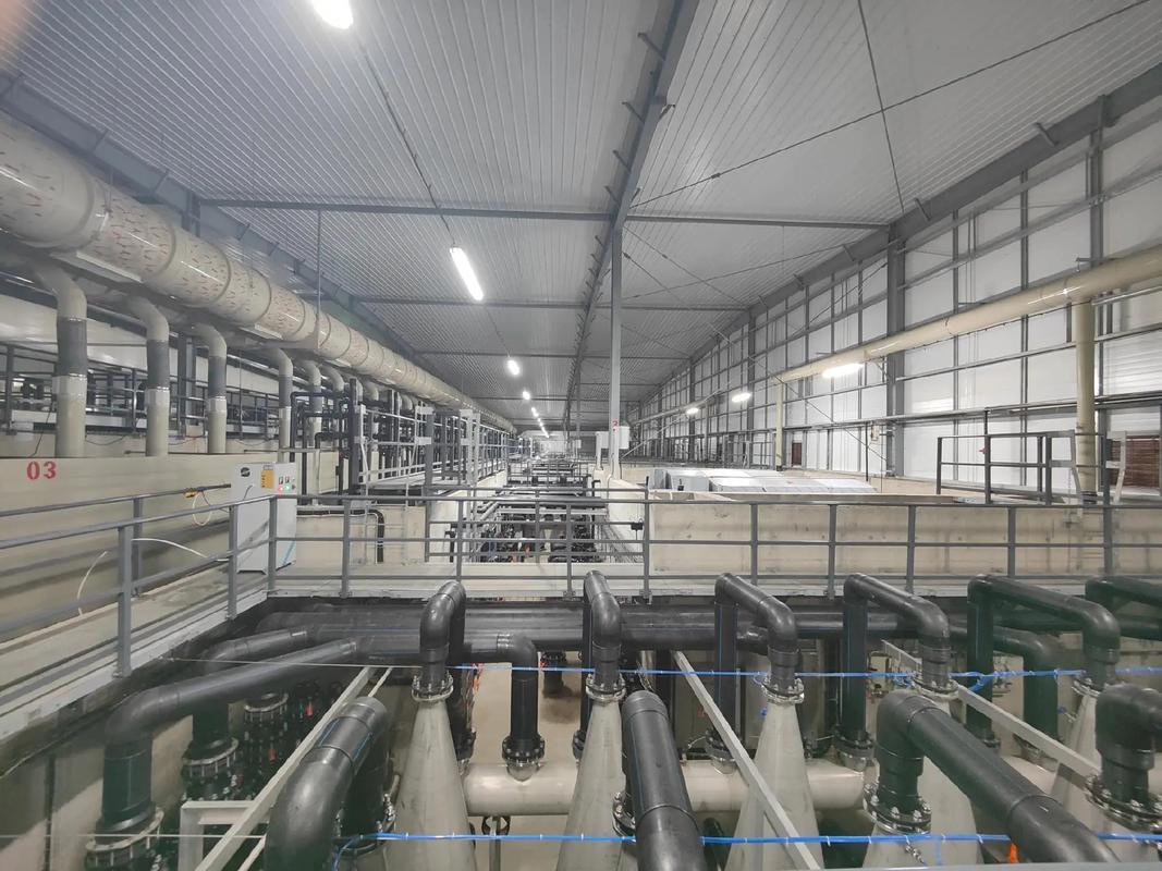 探訪全球最大單體鰻魚工廠化養(yǎng)殖基地 福建匯澤漁業(yè)如何引領水產(chǎn)品養(yǎng)殖新風尚